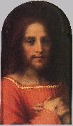 Andrea del Sarto Christ the Redeemer ff oil on canvas